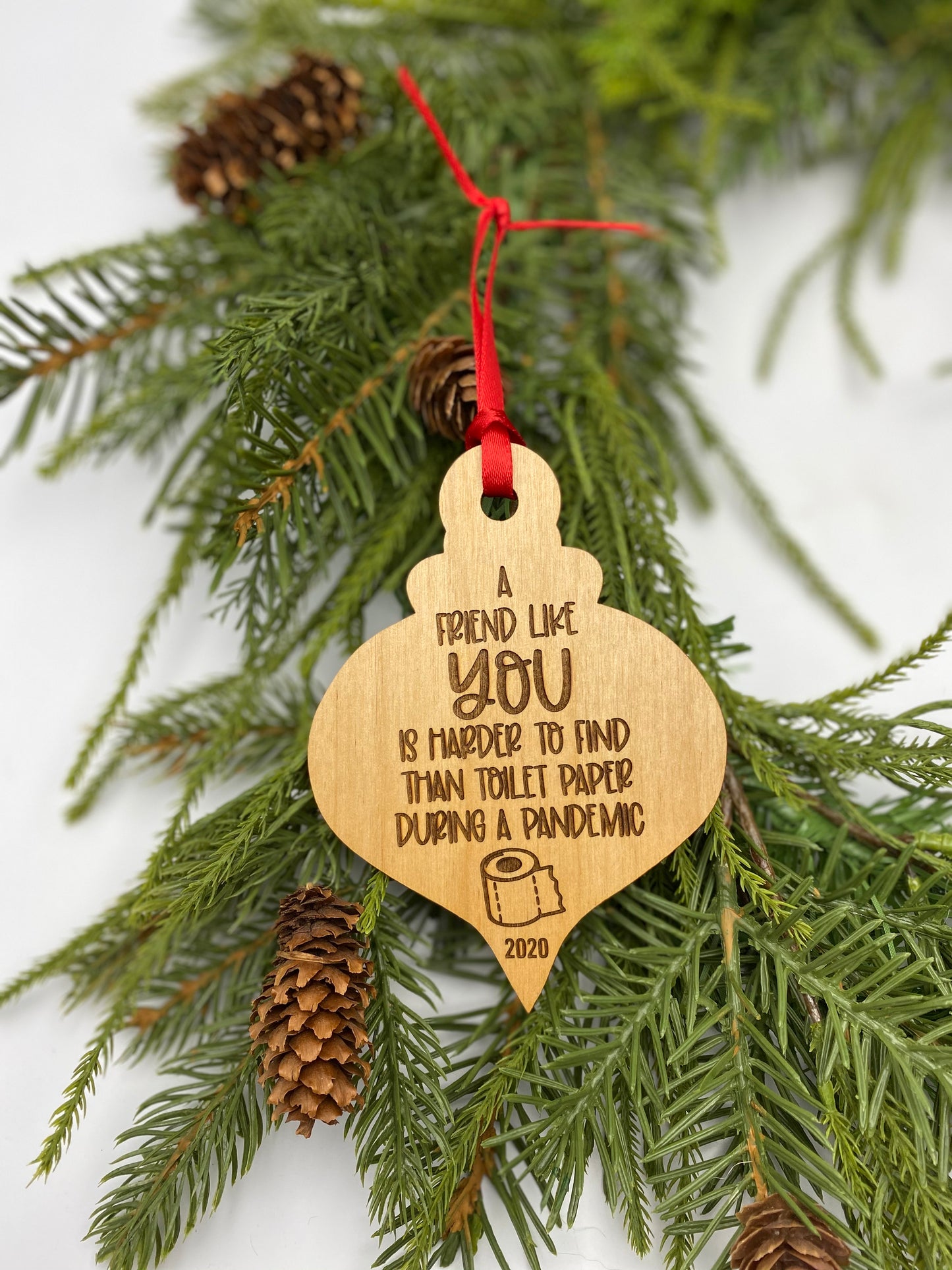 Friend Like You Ornament