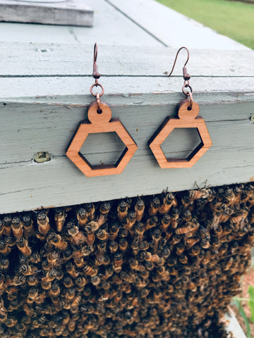 Avant Garde Hexagon Earrings